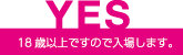 YES 18歳以上ですので入場します