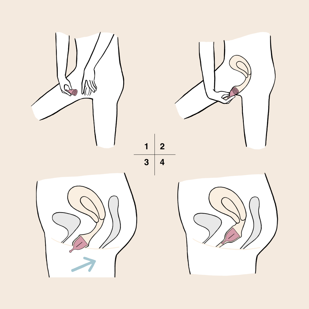 20241121101831-howto_in.png